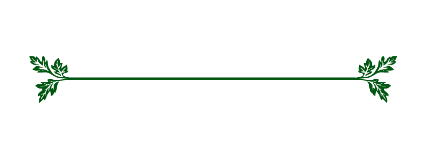 Зеленая прямая линия. Разделительная линия. Красивая зеленая линия. Горизонтальная линия. Зеленая разделительная полоса.